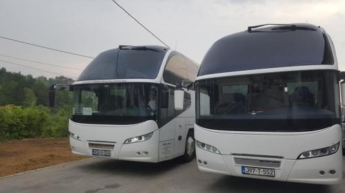 35227942 2597834680440839 5271483326845157376 n