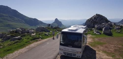 62557491 2955870401303930 6627765674582212608 o